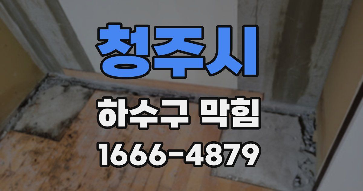 청주시 하수구 막힘