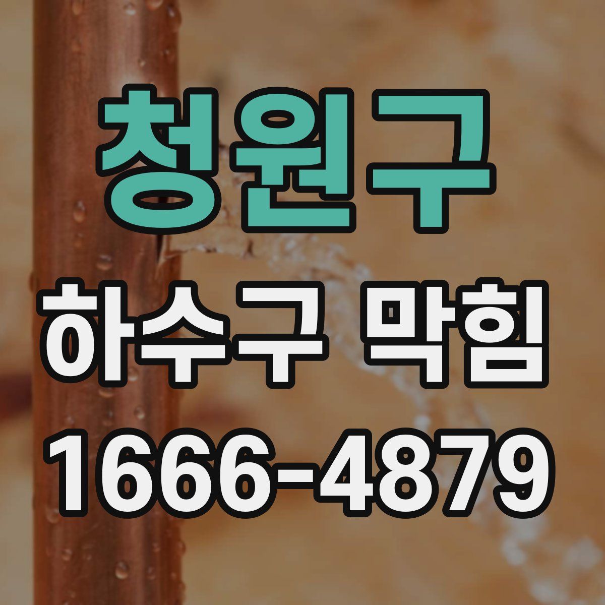 청원구 하수구 막힘