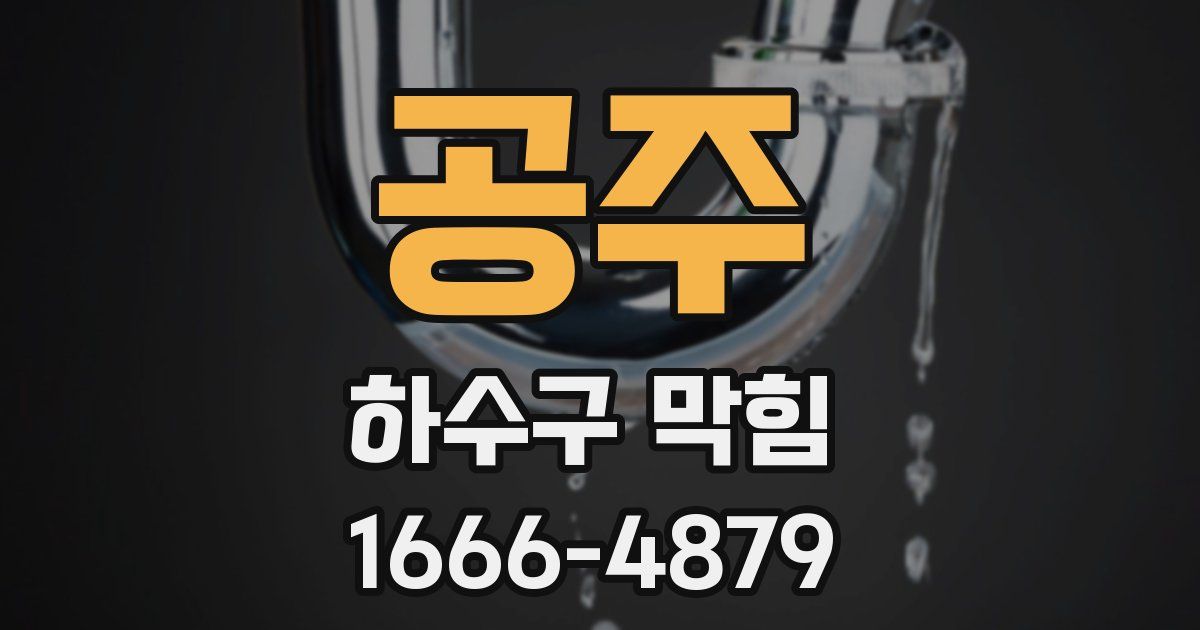 공주 하수구 막힘