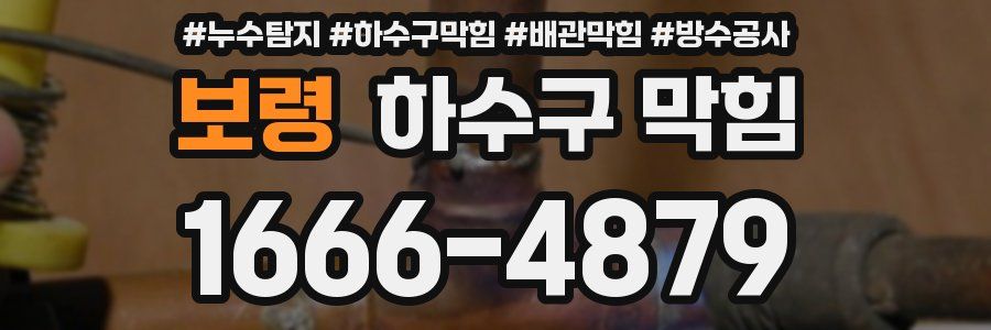 보령 하수구 막힘