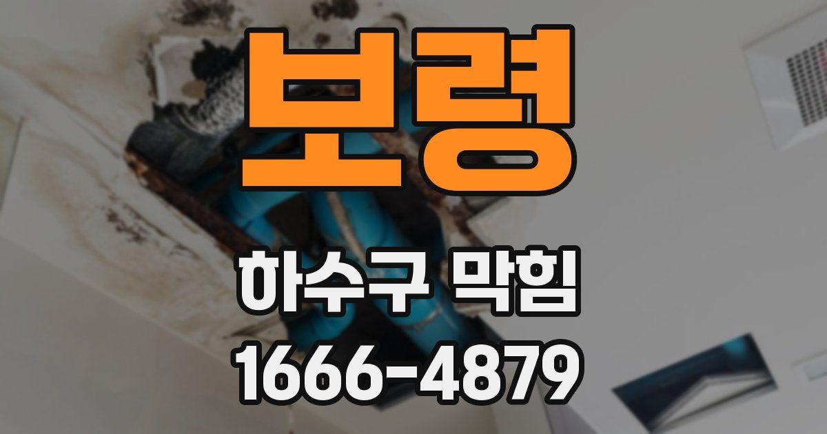 보령 하수구 막힘