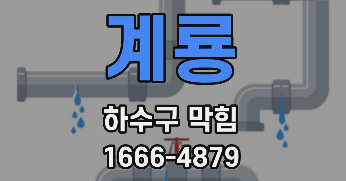 계룡 하수구 막힘