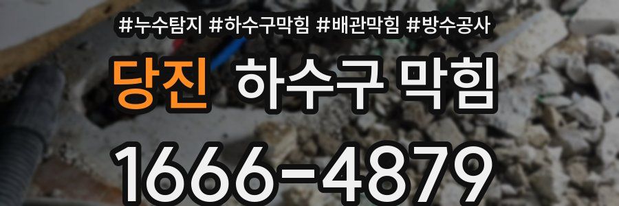 당진 하수구 막힘