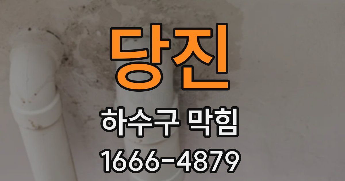 당진 하수구 막힘