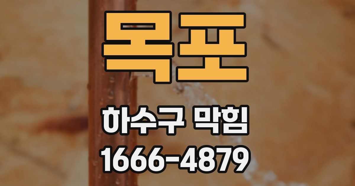 목포 하수구 막힘