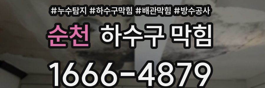 순천 하수구 막힘