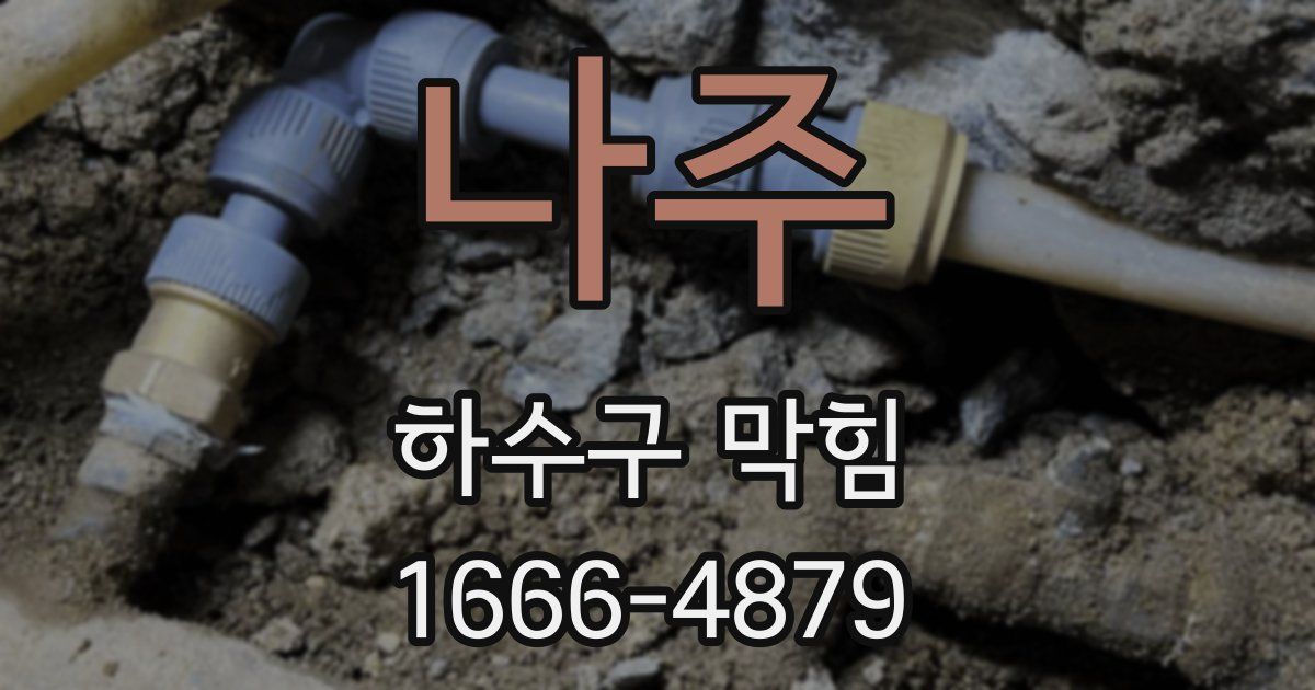 나주 하수구 막힘