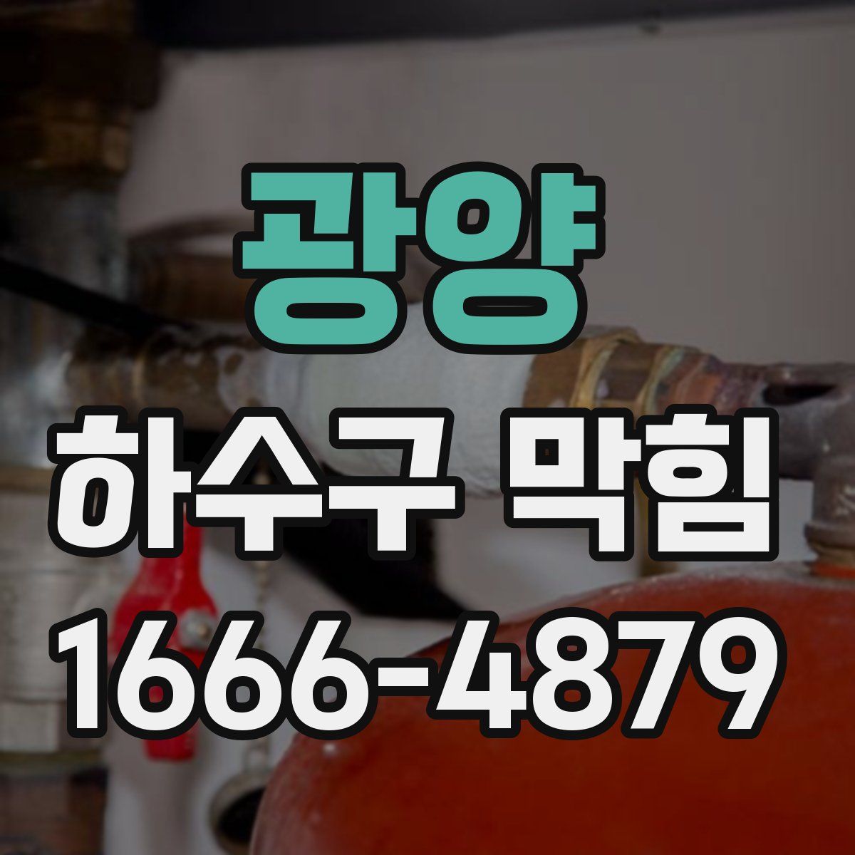 광양 하수구 막힘