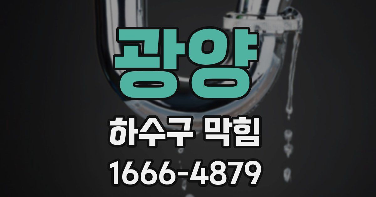 광양 하수구 막힘