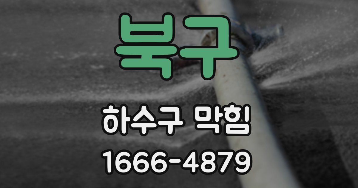 북구 하수구 막힘