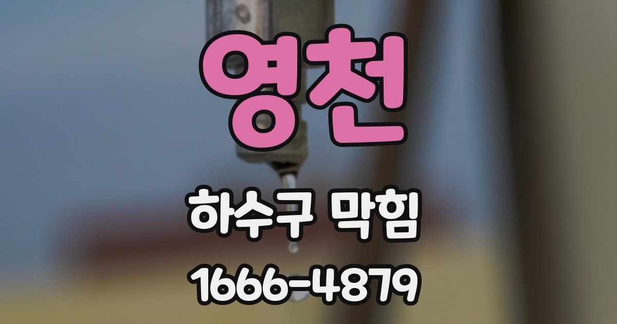 영천 하수구 막힘