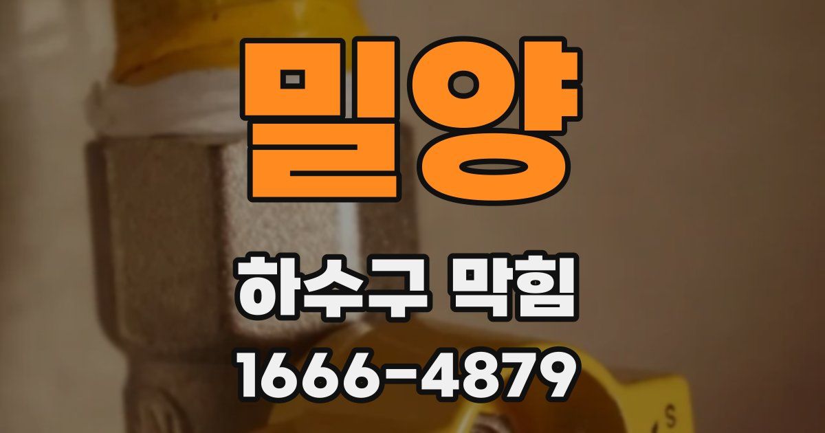 밀양 하수구 막힘