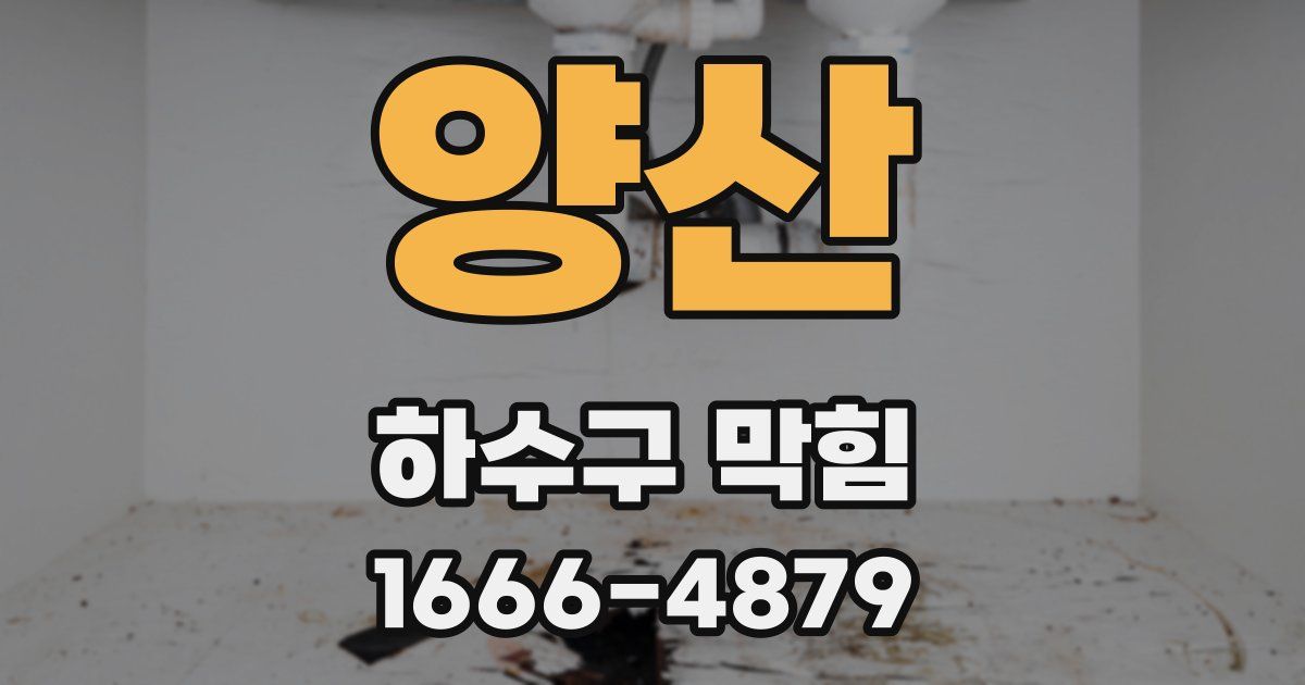 양산 하수구 막힘