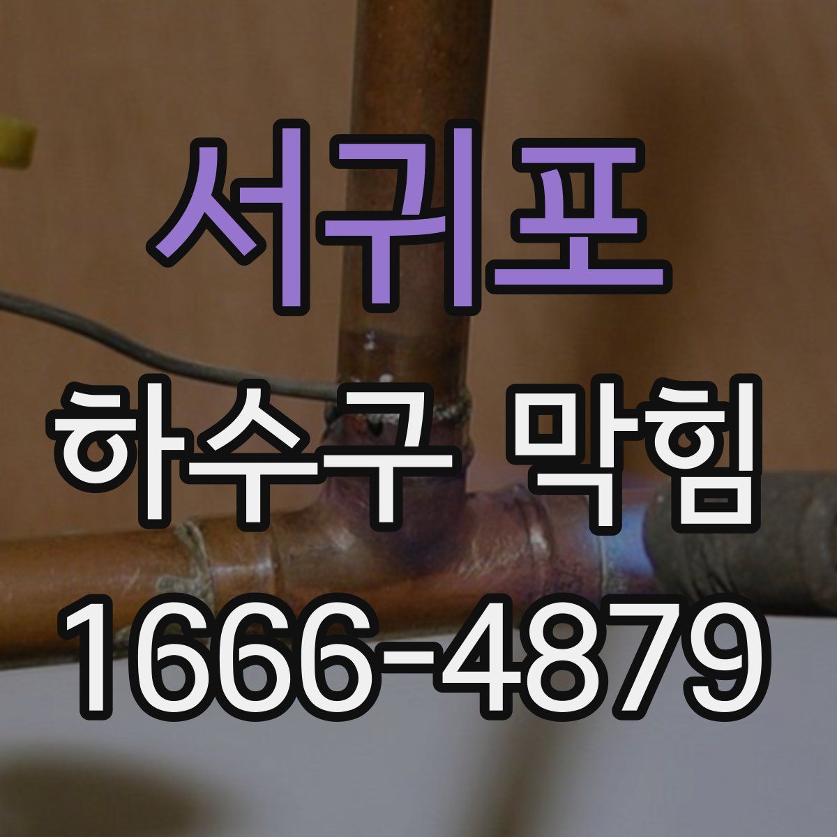서귀포 하수구 막힘