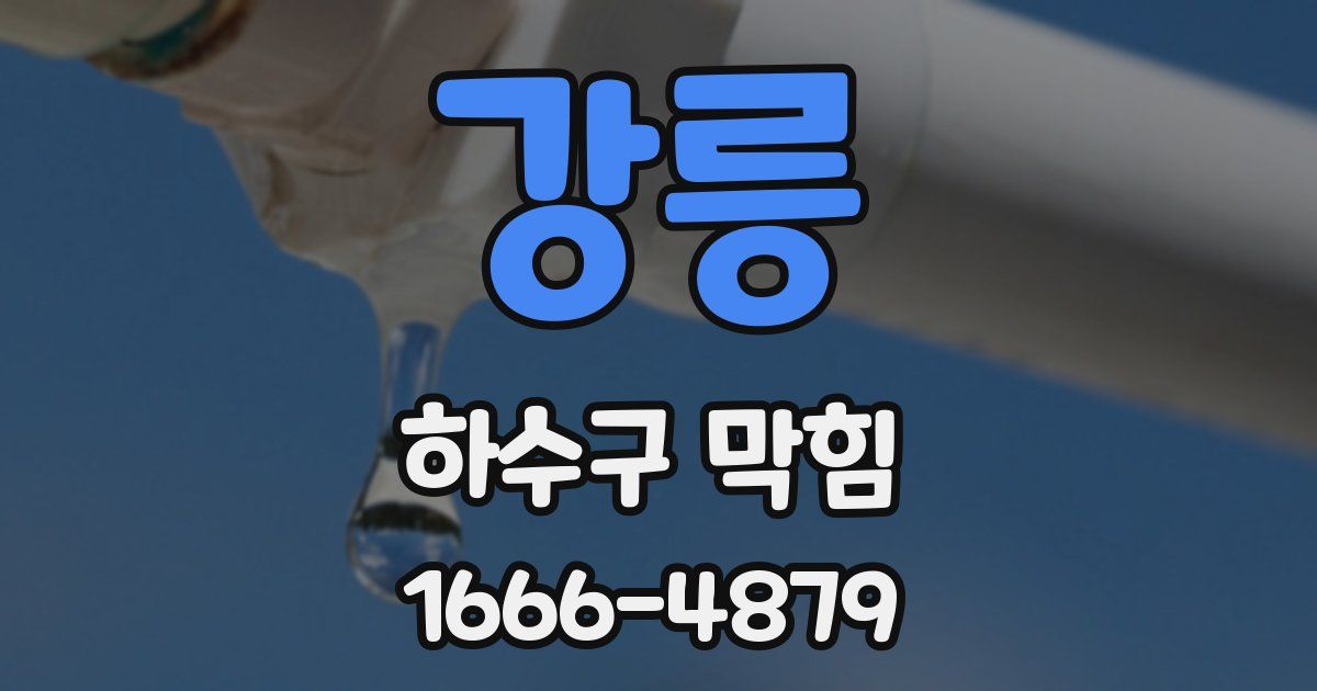 강릉 하수구 막힘