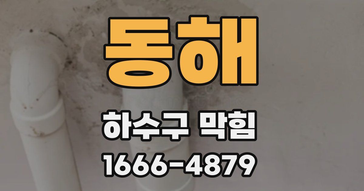 동해 하수구 막힘
