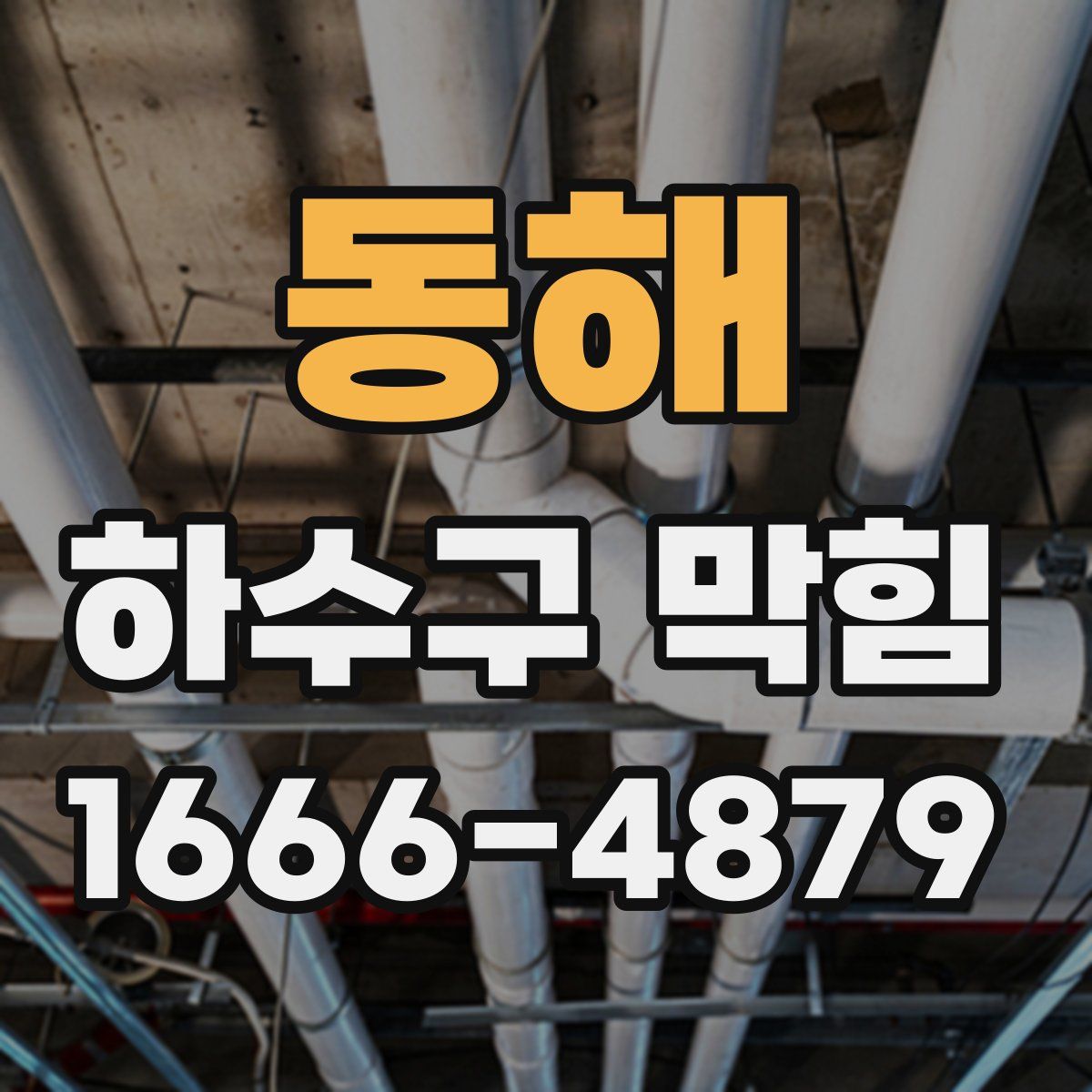 동해 하수구 막힘