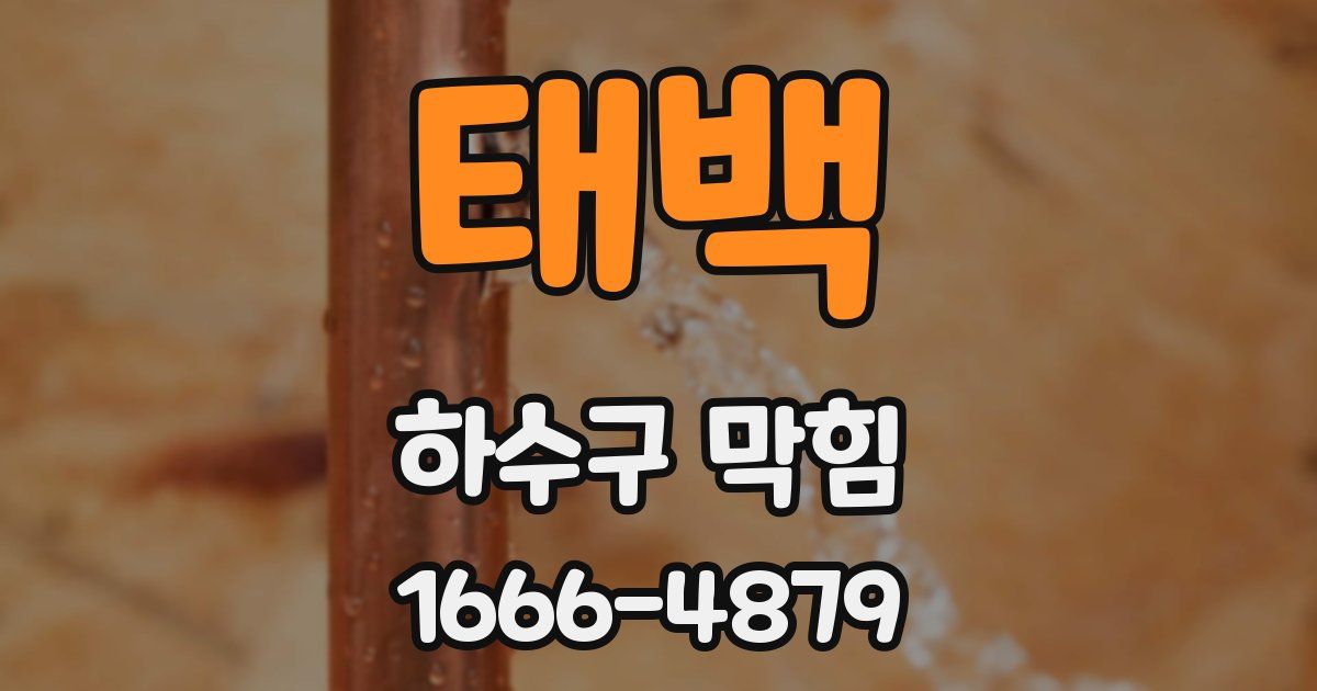 태백 하수구 막힘