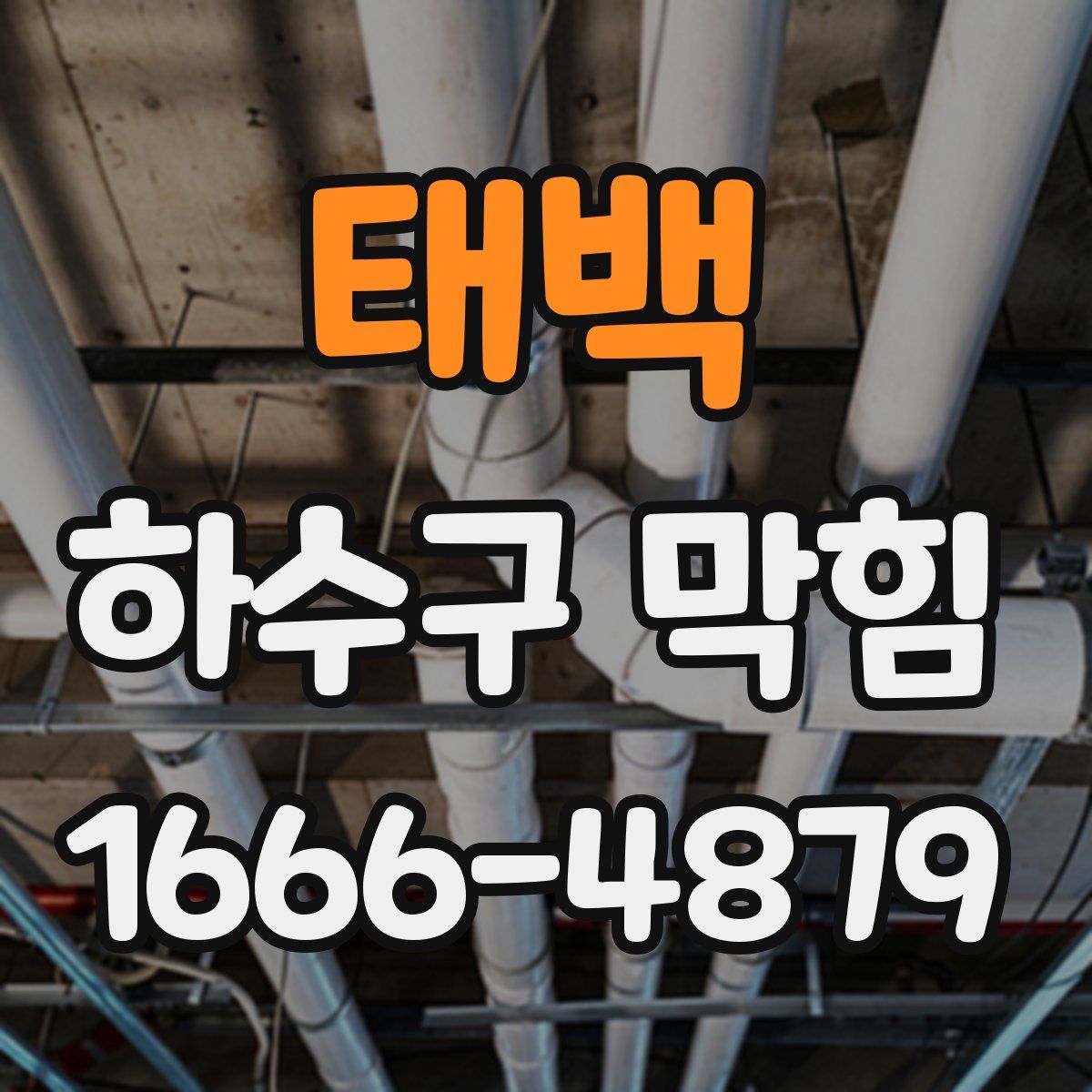 태백 하수구 막힘