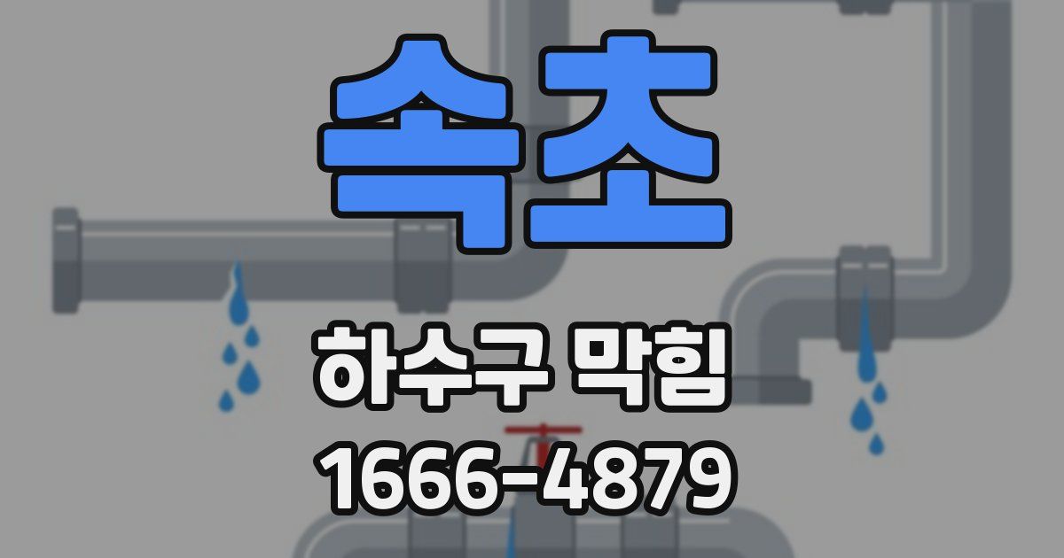 속초 하수구 막힘