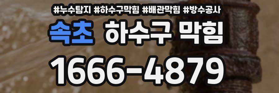 속초 하수구 막힘