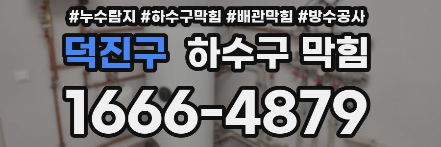 덕진구 하수구 막힘