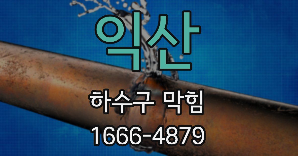 익산 하수구 막힘