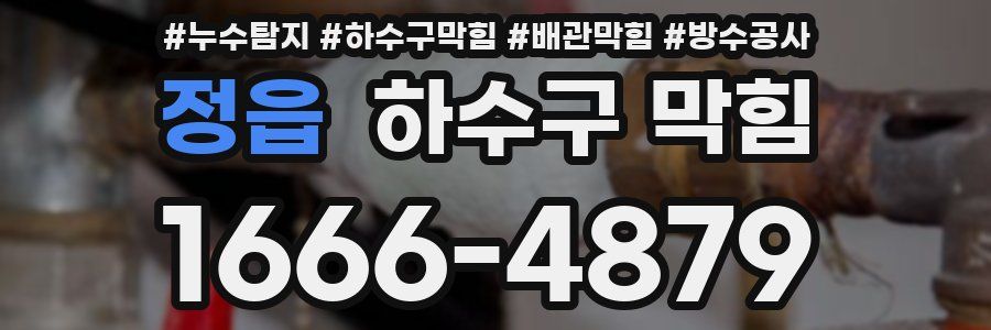 정읍 하수구 막힘