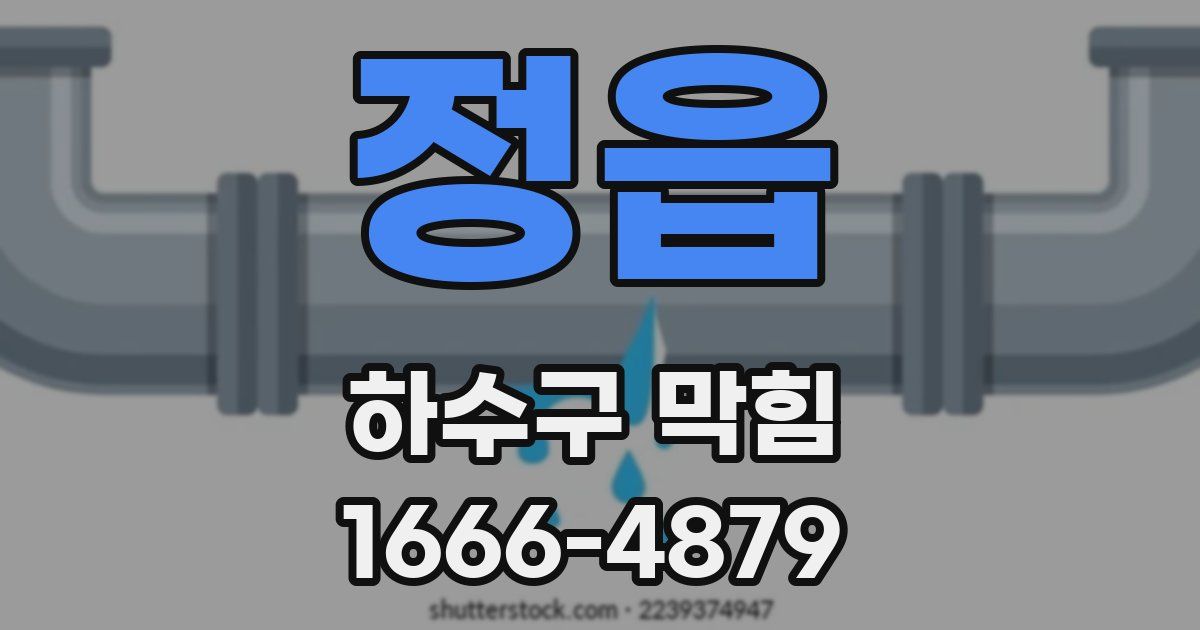 정읍 하수구 막힘