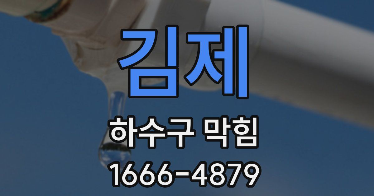 김제 하수구 막힘