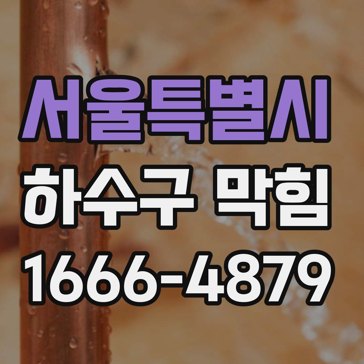 서울특별시 하수구 막힘