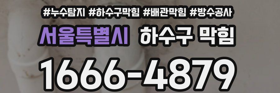 서울특별시 하수구 막힘