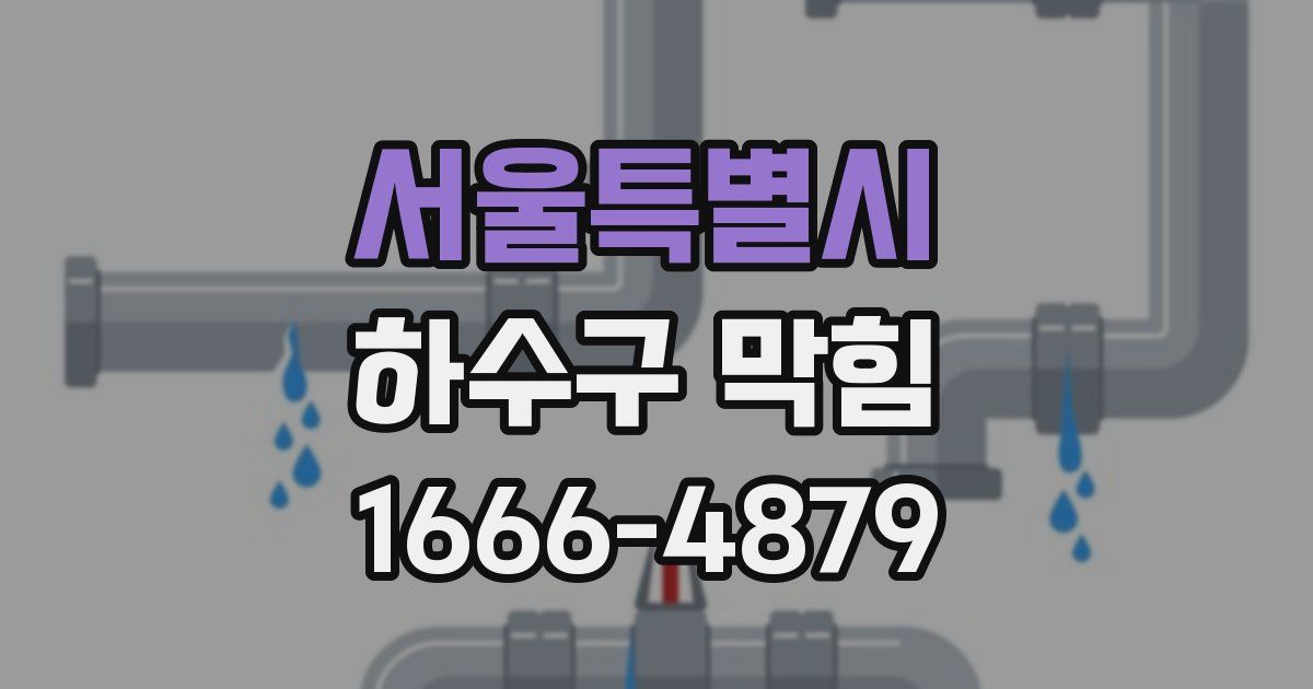 서울특별시 하수구 막힘