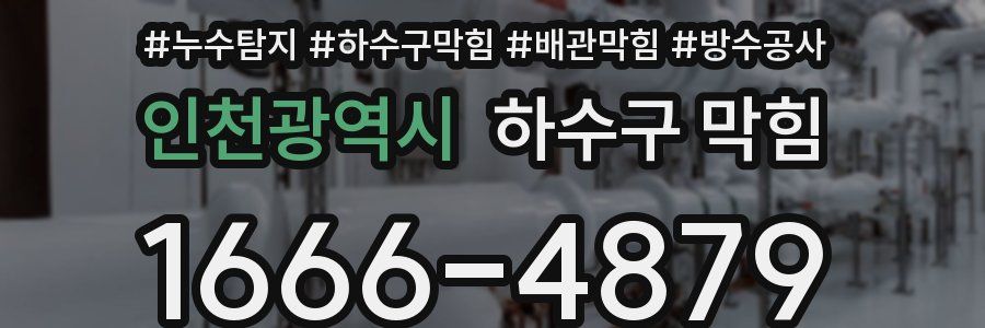 인천광역시 하수구 막힘