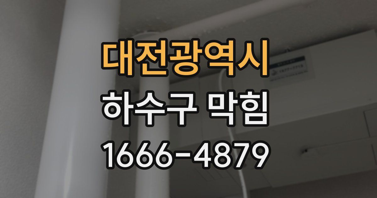 대전광역시 하수구 막힘
