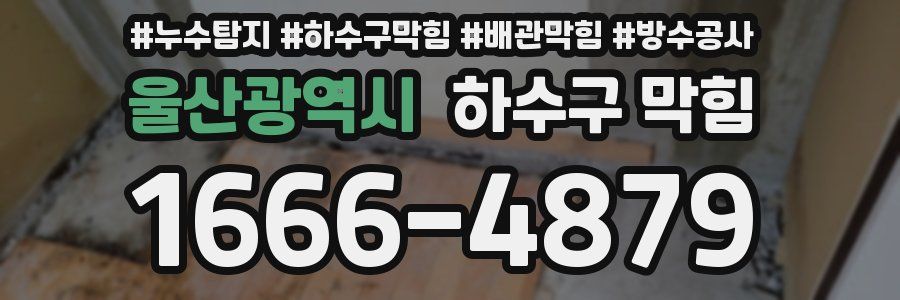 울산광역시 하수구 막힘