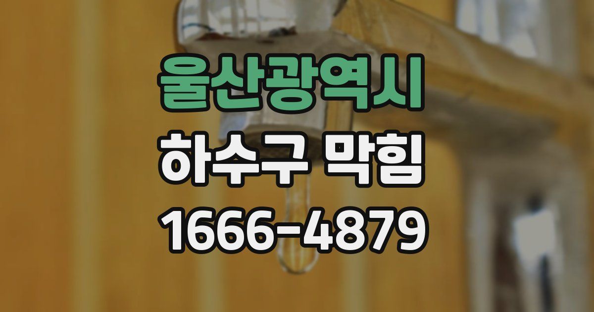 울산광역시 하수구 막힘