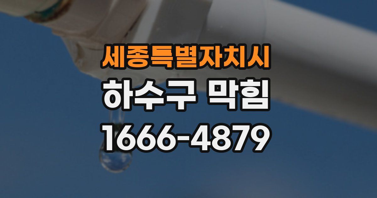 세종특별자치시 하수구 막힘