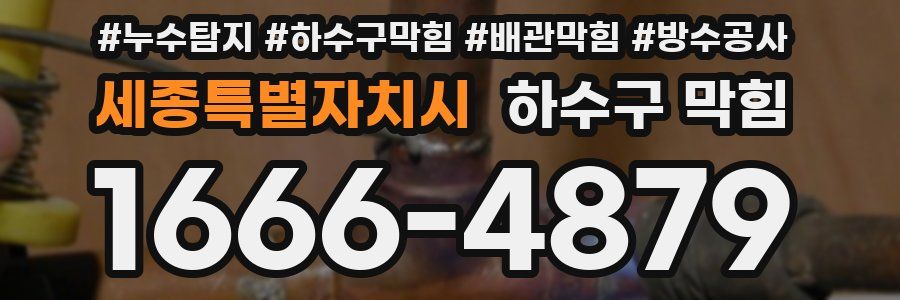 세종특별자치시 하수구 막힘