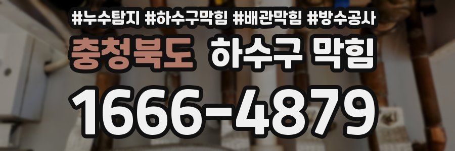 충청북도 하수구 막힘