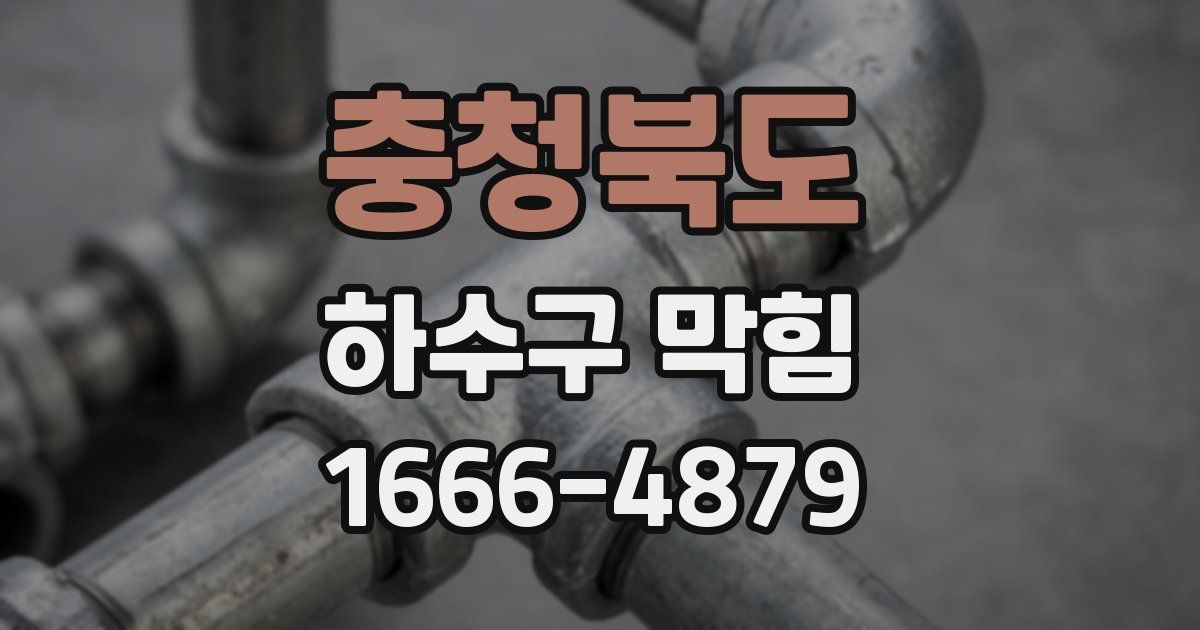 충청북도 하수구 막힘