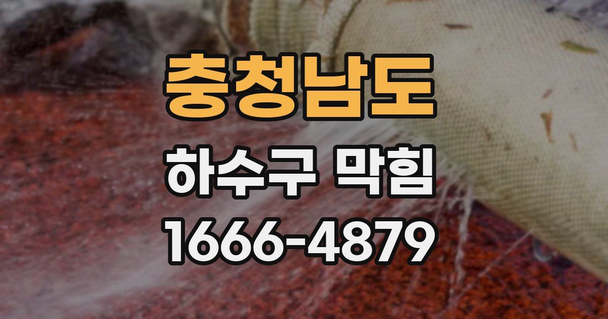 충청남도 하수구 막힘