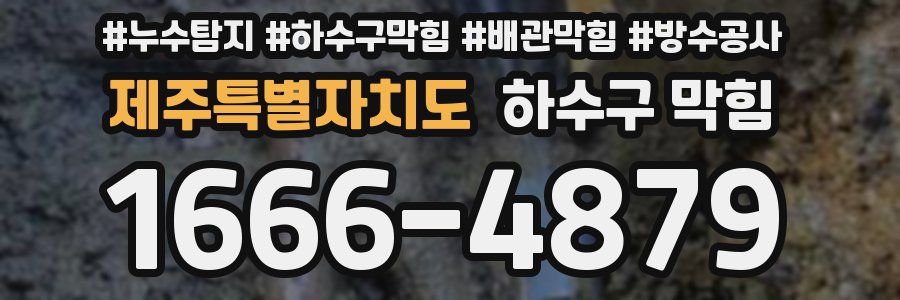 제주특별자치도 하수구 막힘