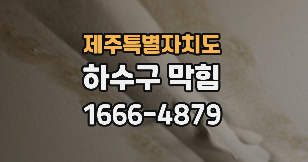 제주특별자치도 하수구 막힘