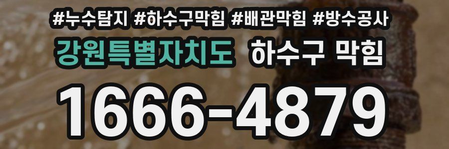 강원특별자치도 하수구 막힘