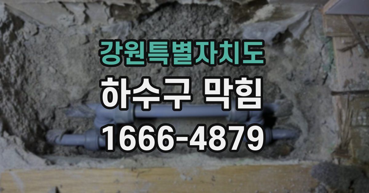 강원특별자치도 하수구 막힘