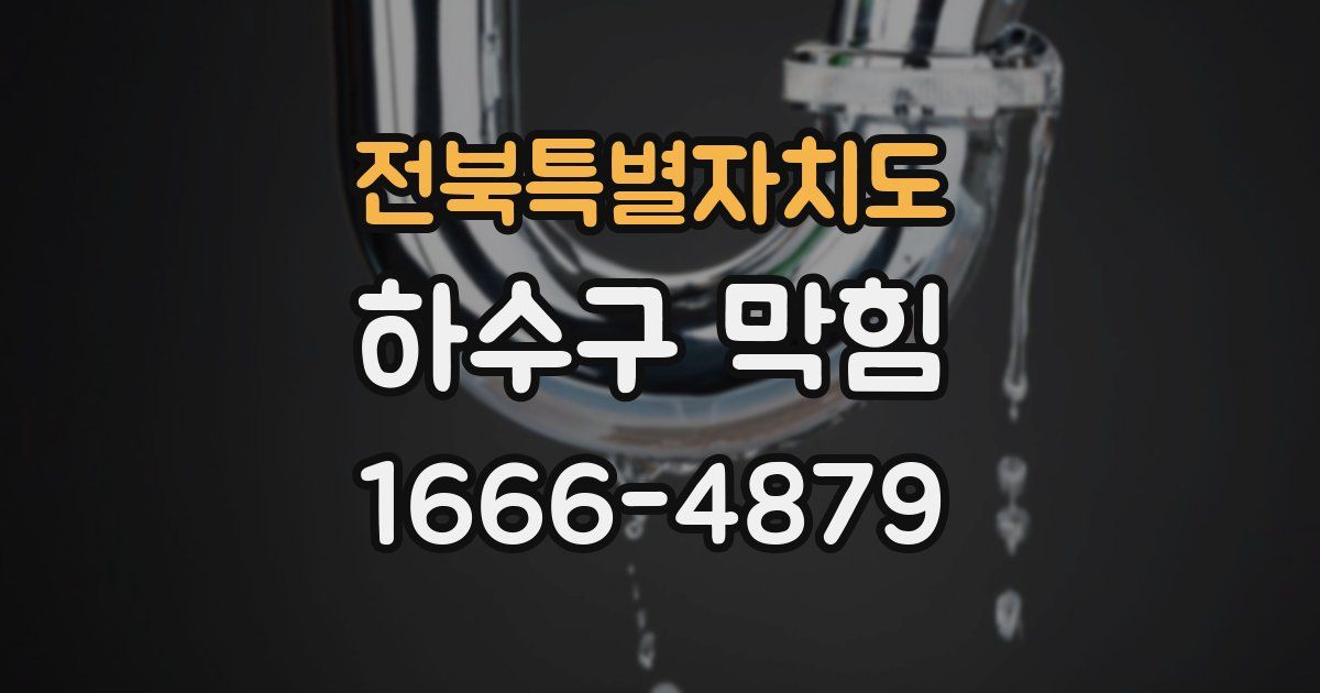 전북특별자치도 하수구 막힘