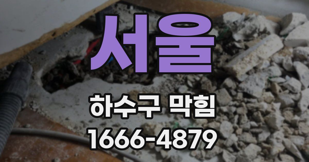 서울 하수구 막힘