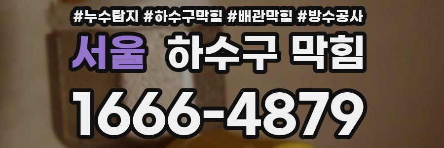 서울 하수구 막힘