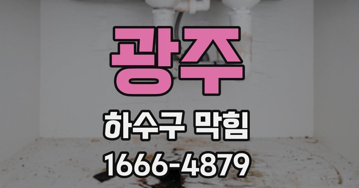 광주 하수구 막힘
